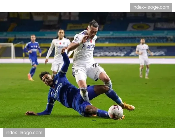 富勒姆主场逆转布伦特福德 农场主延续不败势头